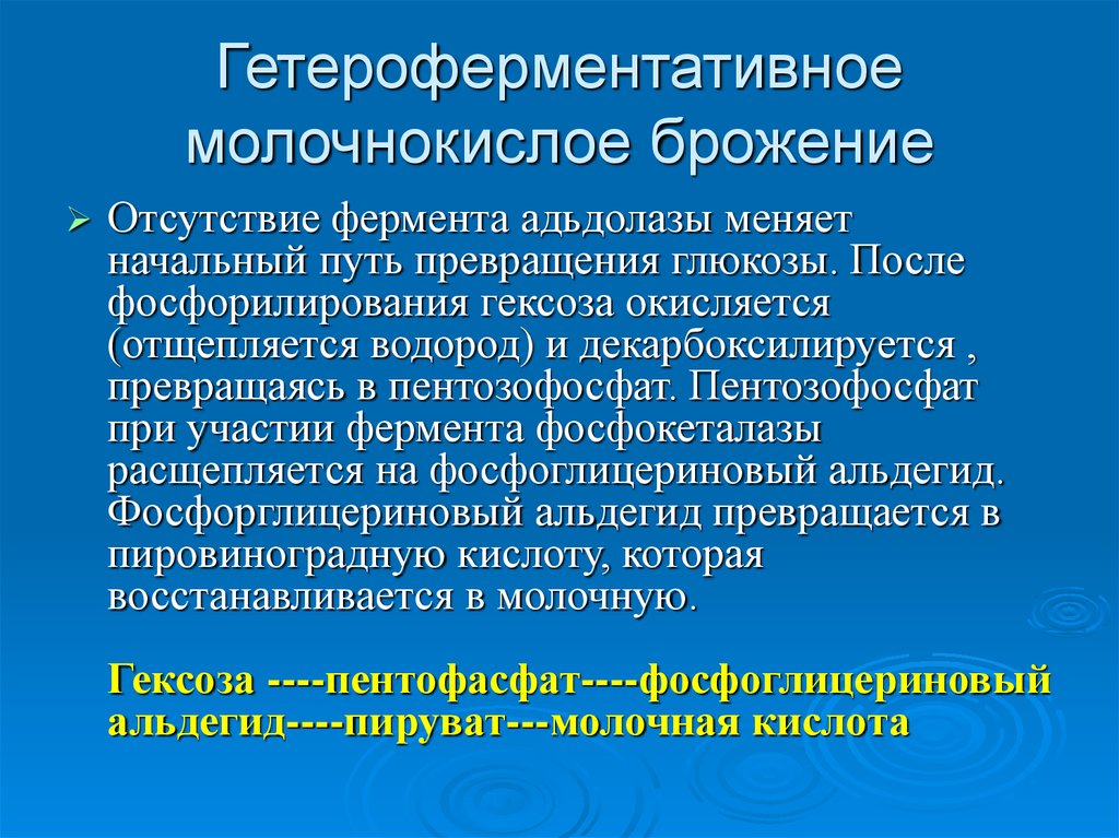 Молочнокислое гомоферментативное брожение схема