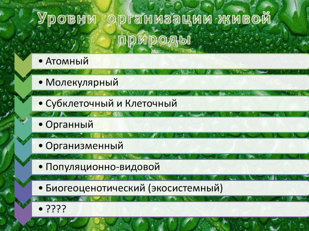 Уровни организации живой природы органный уровень