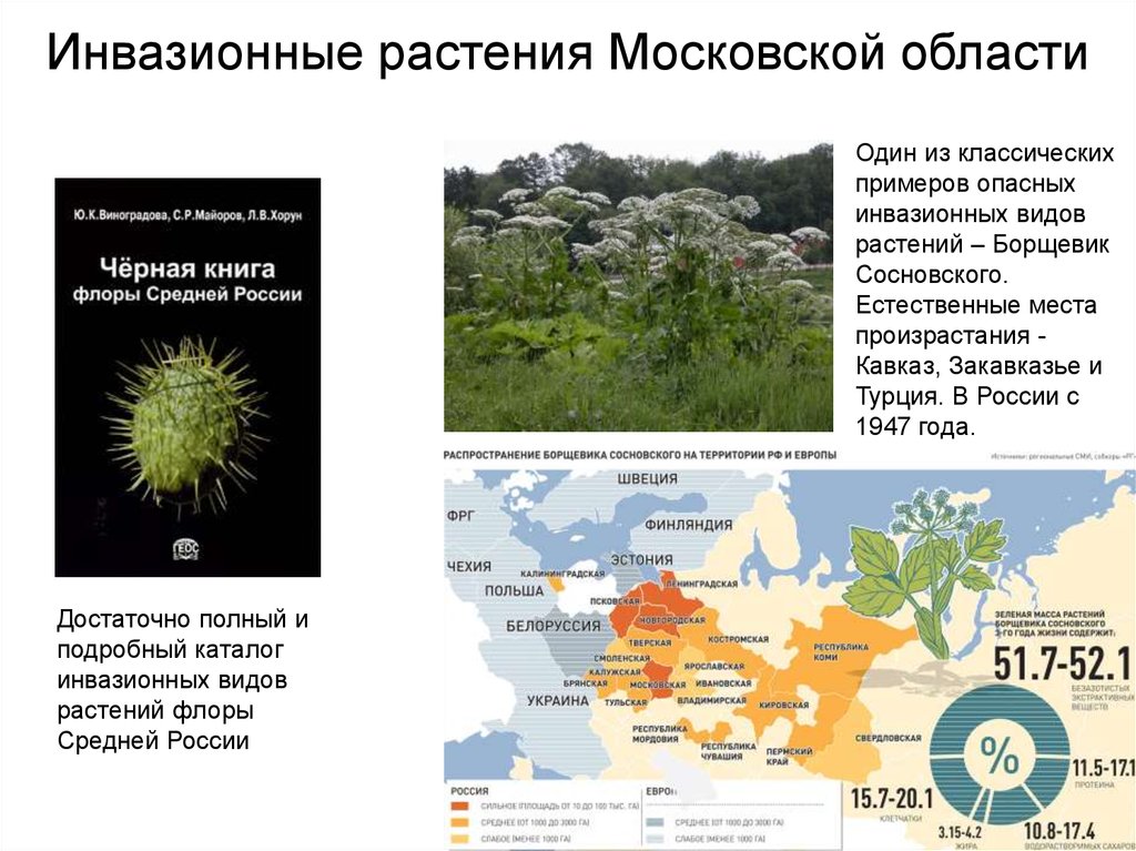 Карта борщевика ленинградской области