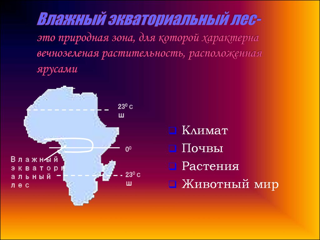 Природные зоны экваториального пояса африки