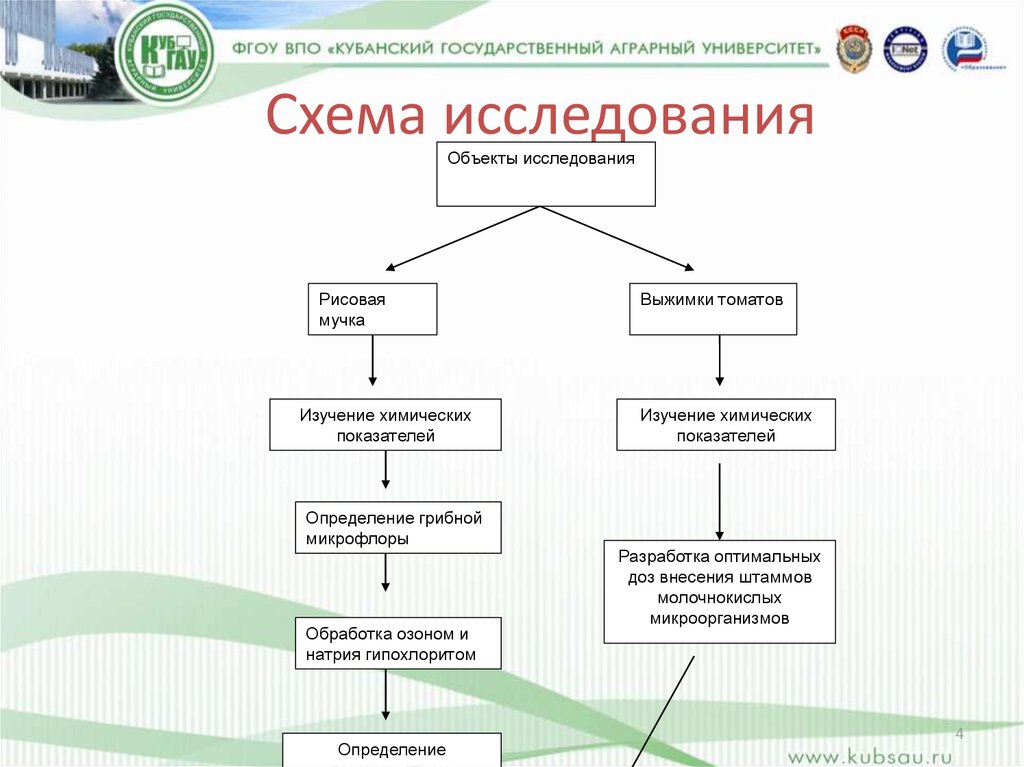 Схема обследования. Объект и исследования томатов.