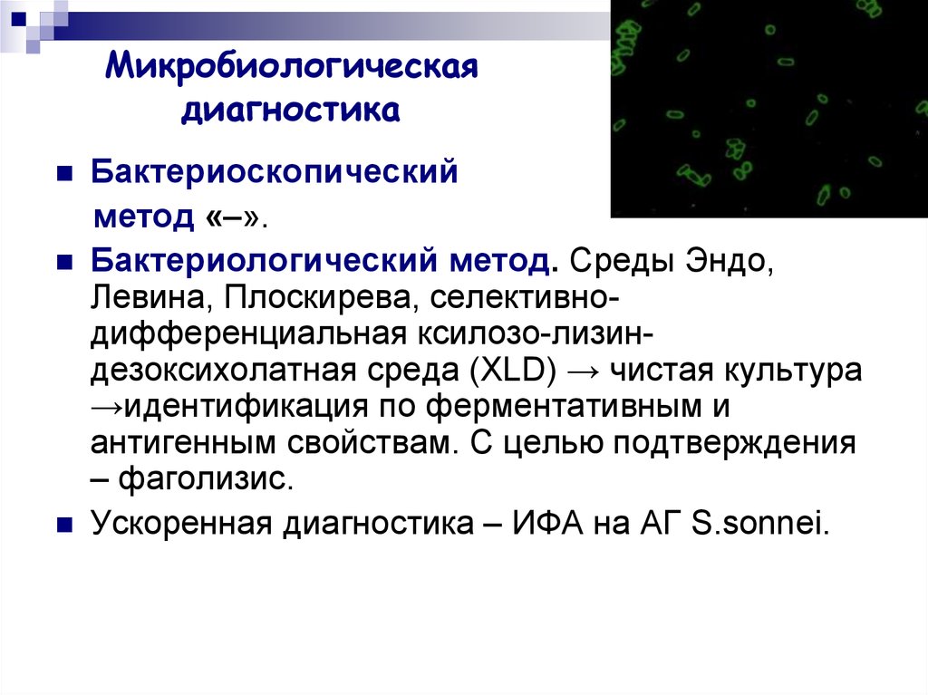 Микробиологическая диагностика холеры. Бактериоскопический метод диагностики это в микробиологии. Бактериоскопический и бактериологический методы исследования. Бактериологический и бактериоскопический метод. Методы микробиологических исследований бактериоскопический.