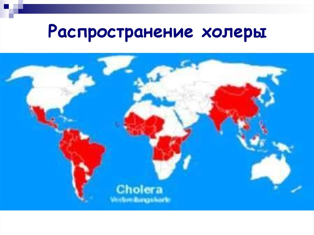 Холера где. Холера ареал распространения. Холера карта распространения. Распространенность холеры. Холера распространение в мире.