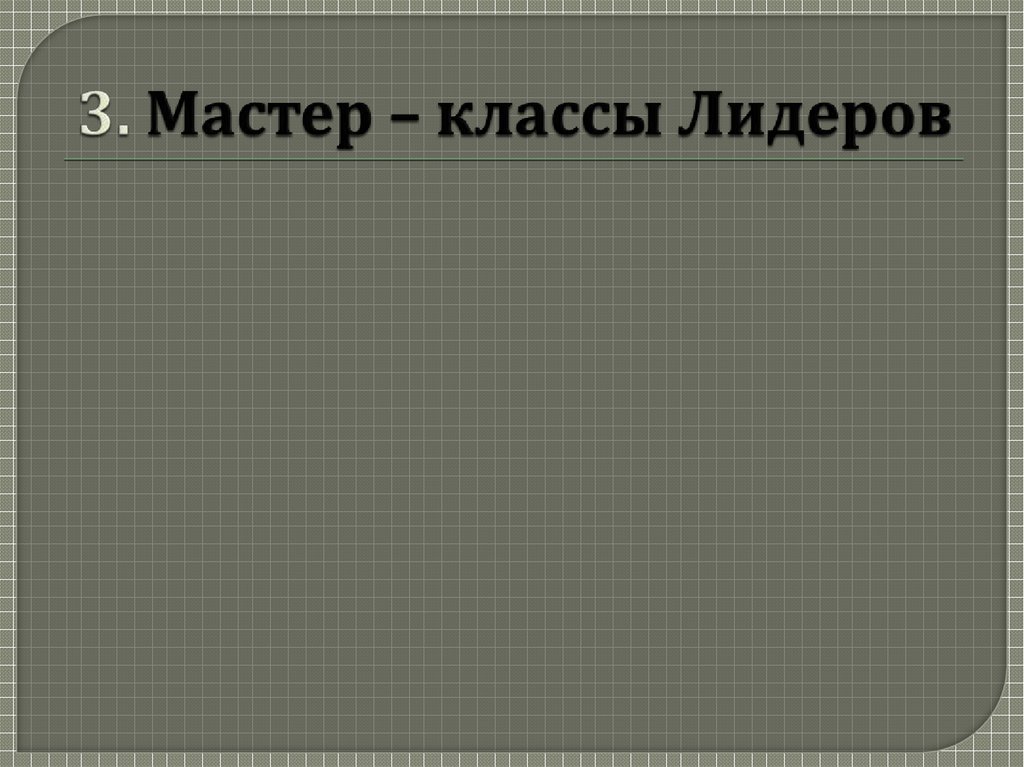 3. Мастер – классы Лидеров