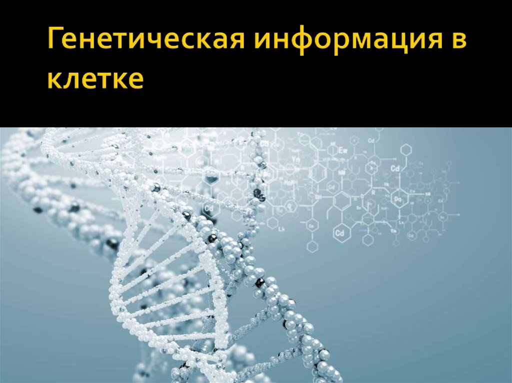 Генетическая информация. Наследственная информация в клетке. Генетический информация в кл. Геномная информация.