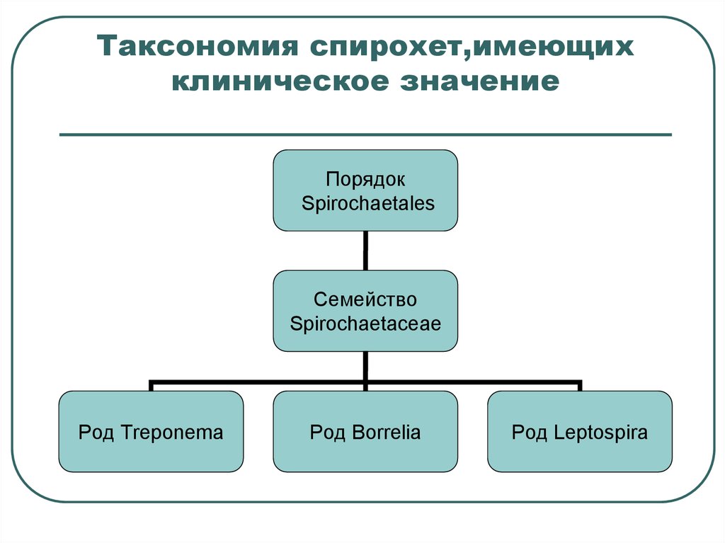 Таксономия зеленых проектов рф