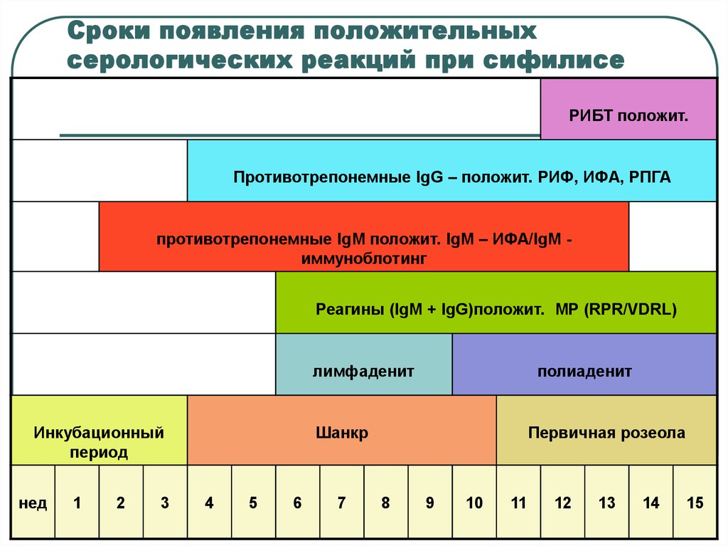 Срок появления. Серологическое исследование реакции при сифилисе. Сроки появления положительных серологических реакций при сифилисе. Серологические реакции при первичном сифилисе. Серологические реакции в периоды сифилиса.