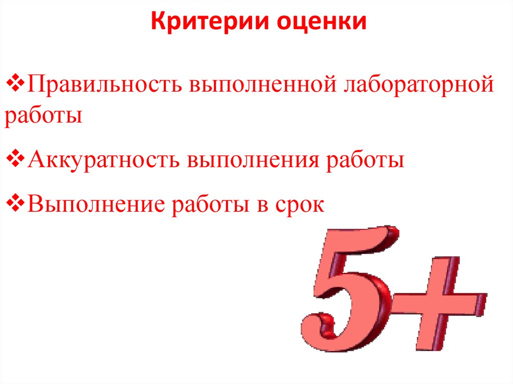 Критерии оценки
