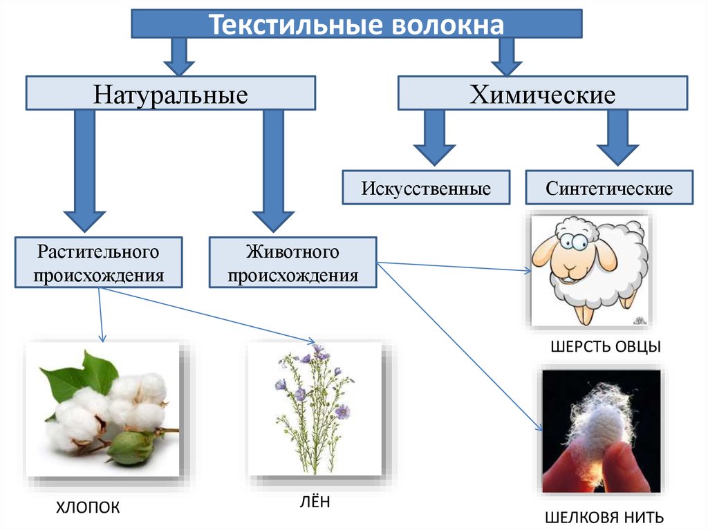 Натуральные волокна. Текстильные волокна животного происхождения. Биотехнологии в производстве текстильных волокон. Натуральные и химические волокна. Использование биотехнологий в производстве текстильных волокон.