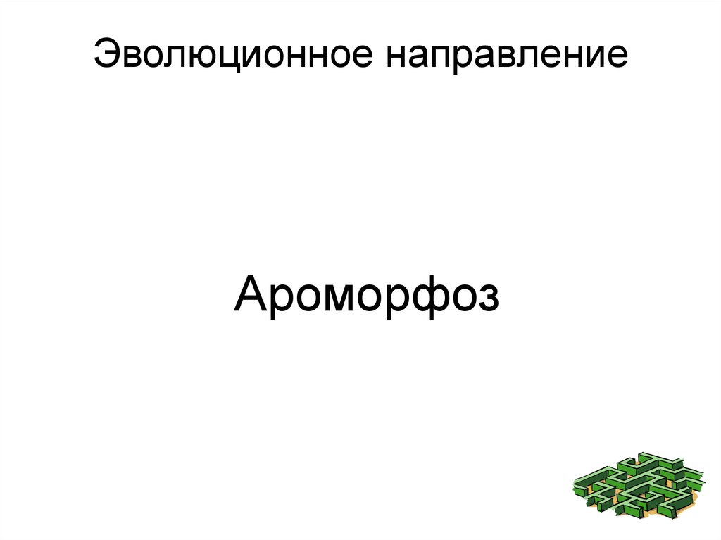 Ароморфоз картинки для презентации