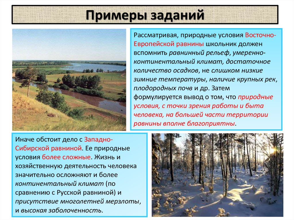 Природные условия в которых функционирует. Природные условия Восточно европейской равнины. Деятельность человека Восточно европейской равнины. Климатические условия Восточно европейской равнины. Примеры благоприятных природных условий.
