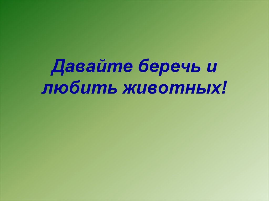 Книжка малышка береги животных окружающий мир. Надпись берегите животных. Давайте беречь и любить животных. Книжка малышка берегите животных. Окружающий мир берегите животных.