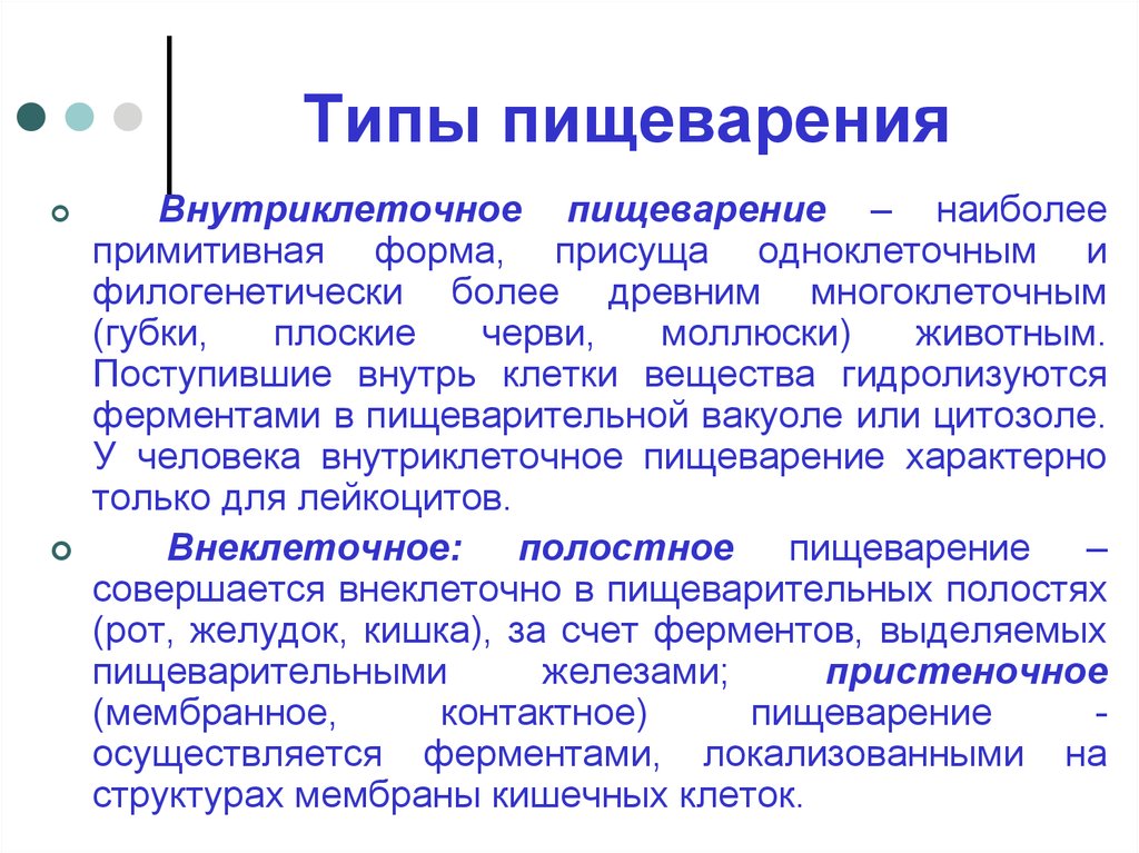 Типы пищеварения