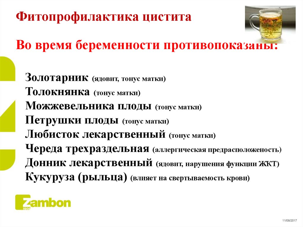 Цистит при беременности. Профилактика от цистита у женщин. Профилактика хронического цистита у женщин. Профилактика цистита у беременных женщин. Меры профилактики цистита.