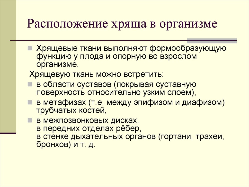 Функция хрящей в организме человека. Расположение хрящей в организме. Хрящевая ткань расположение. Формообразующая функция хрящевой ткани. Свойства хрящевой ткани.