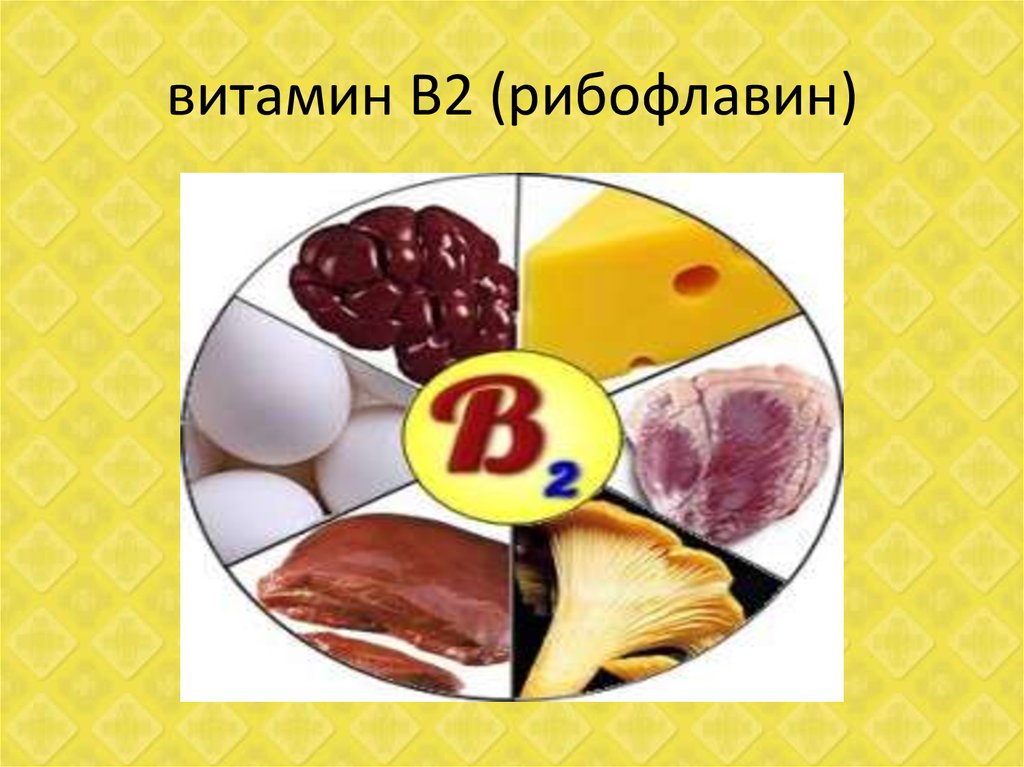 В 2 в каких продуктах. Витамин в2 рибофлавин. Водорастворимые витамины в2. Рибофлавин витамин в2 содержится. Витамин в2 (рибофлавин, лактофлавин).