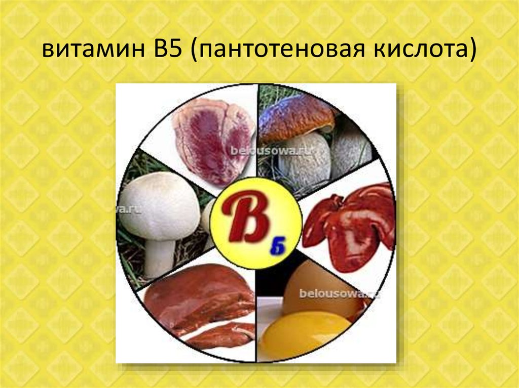 Водорастворимые витамины презентация