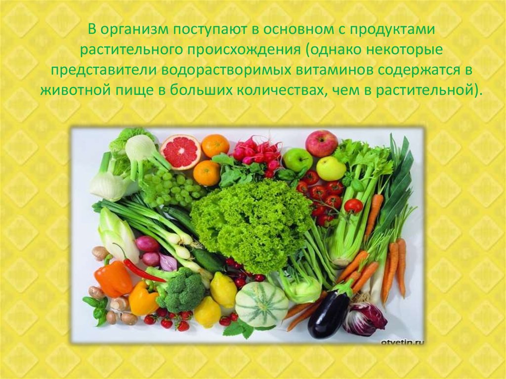 Водорастворимые витамины продукты. Источники водорастворимых витаминов. Водорастворимые витамины представители. Витамины в растительной пище.