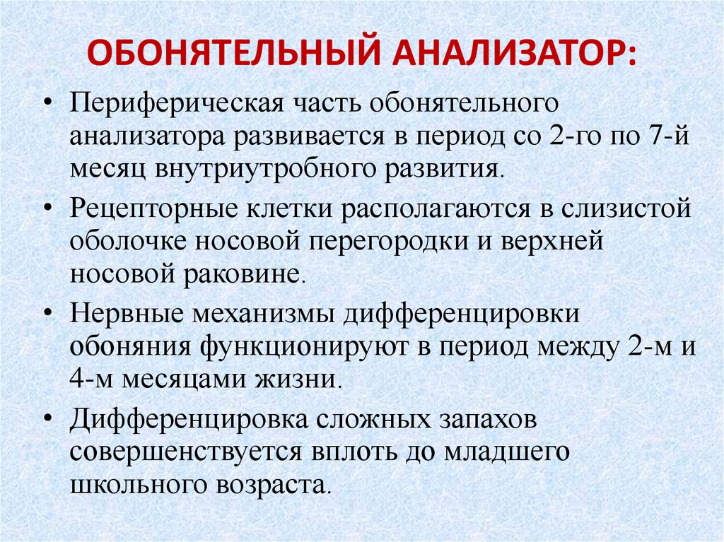 Обонятельный анализатор. Обонятельный анализатор у детей. Возрастные особенности обонятельного анализатора. Периферическая часть обонятельного анализатора.