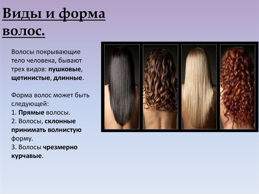 Влияет ли стрижка на качество волос