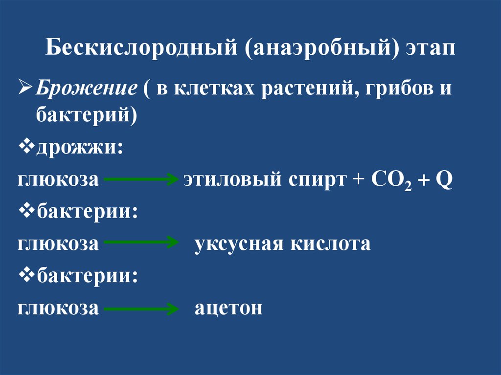 Этапы бескислородного обмена