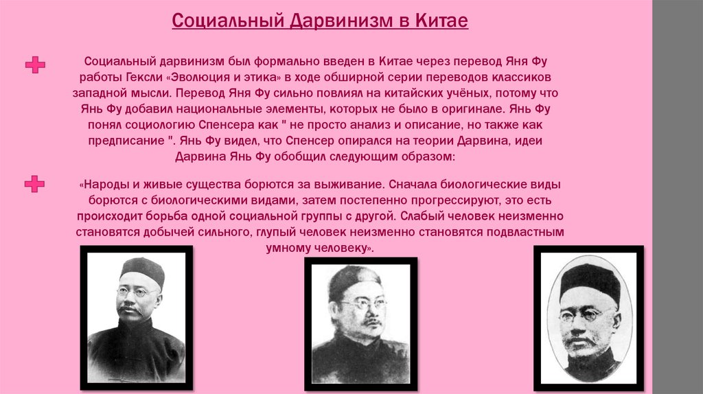 Критика дарвинизма. Критика Данилевским дарвинизма. Кафедру дарвинизма. Какой вклад в социальный дарвинизм внес Вольтман.