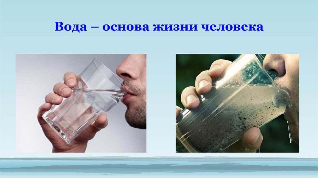 Картинки вода основа жизни