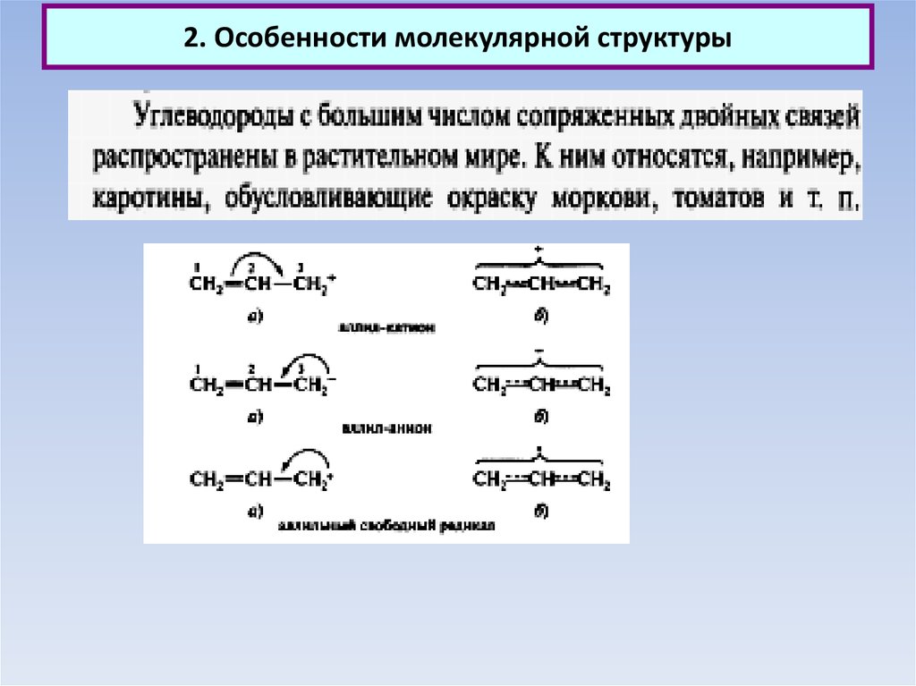 Особенности молекулярного строения жидкостей. Особенности молекулярного строения. Структура углеводорода. Начало органической химии. Простые эфиры строение молекул.