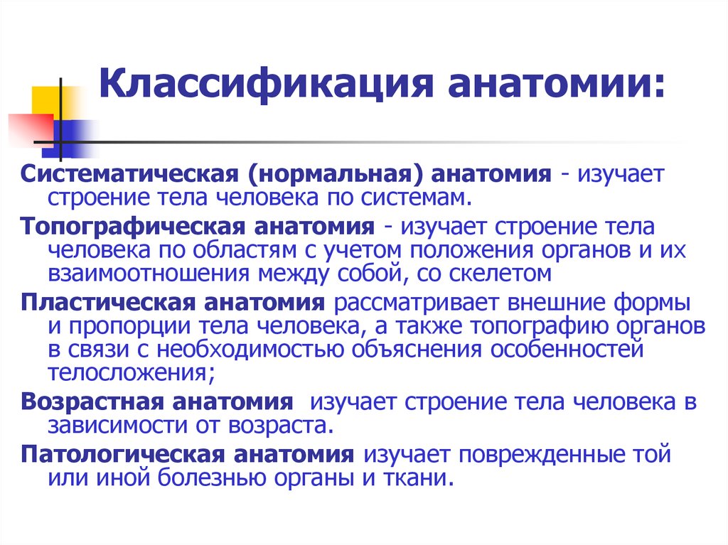 Анатомия изучает. Классификация анатомии. Классификация анатомических наук. Наука анатомия классификация. Систематическая анатомия.