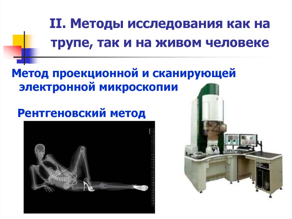 Методы изучения анатомии человека. Методы исследования на живом человеке. Метод проекционной и сканирующей электронной микроскопии. Метод исследования на трупе. Методы изучения на трупе.