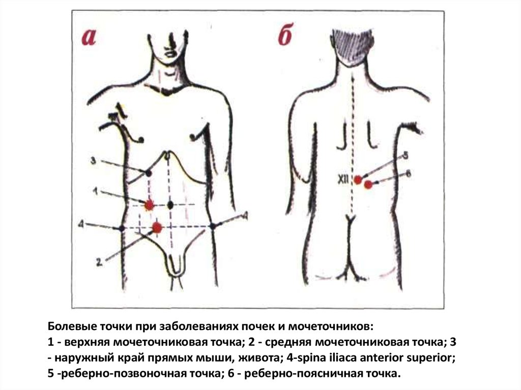 Седьмой стол при заболеваниях почек