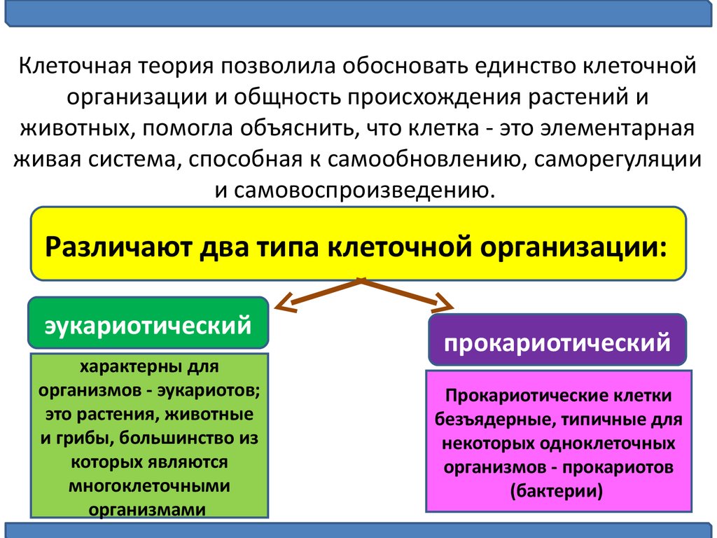 Согласно клеточной теории клетки всех организмов