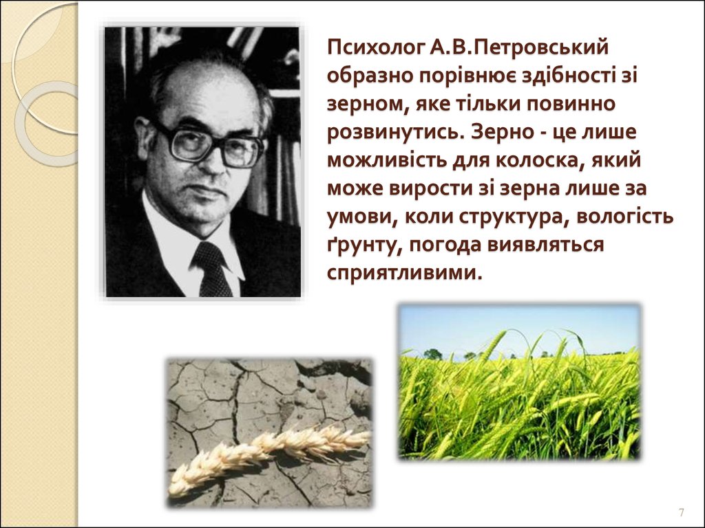 Психолог А.В.Петровський образно порівнює здібності зі зерном, яке тільки повинно розвинутись. Зерно - це лише можливість для колоска, який 