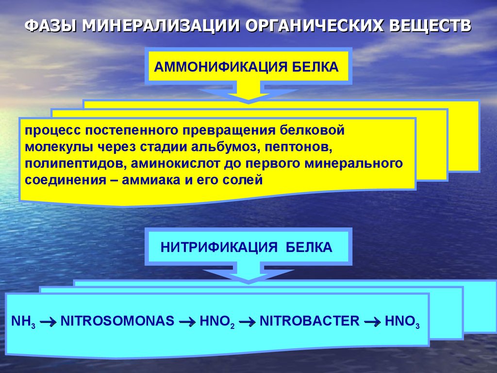 Схема минерализации органических веществ в воде