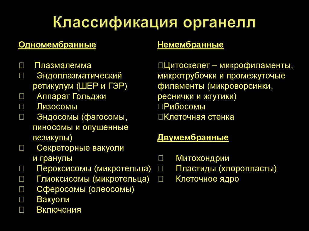 Соответствие между характеристиками и органоидами клетки