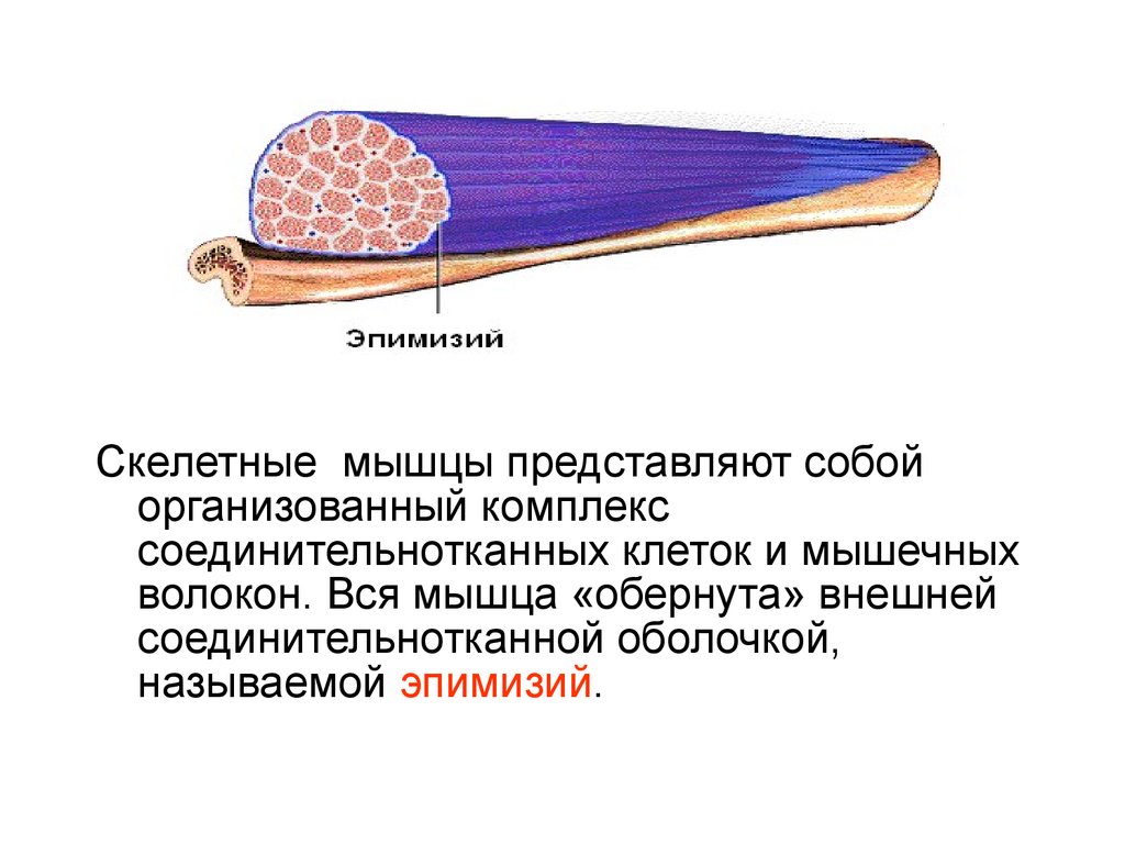 Оболочкой называют