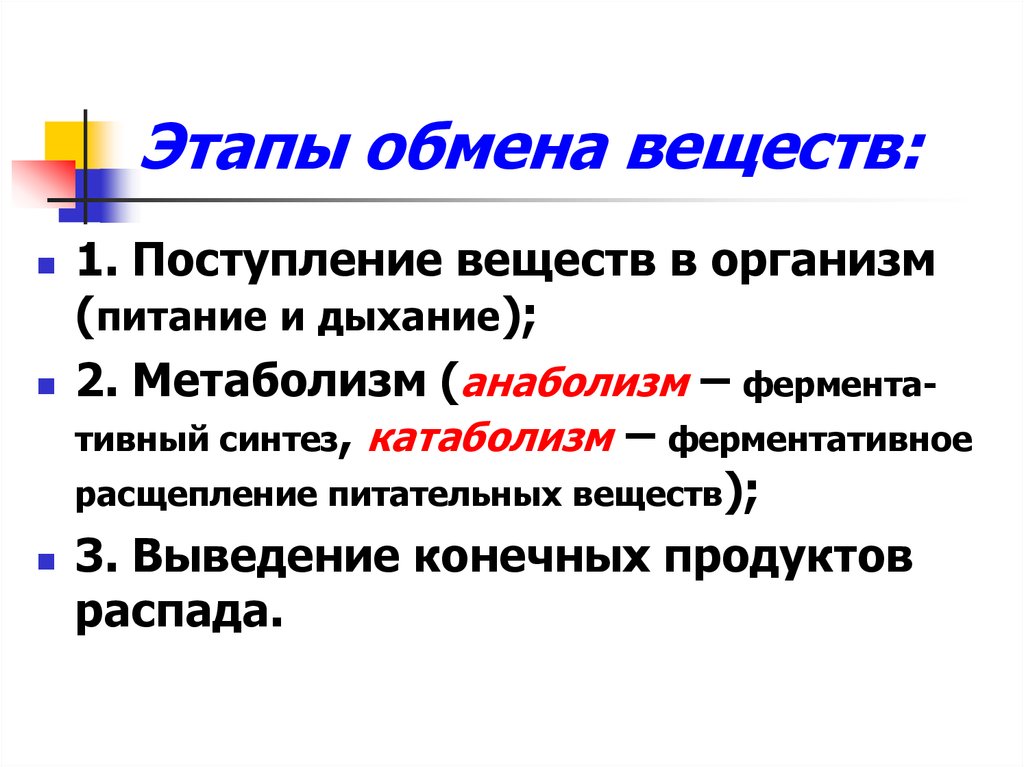 Этапы обмена веществ поступление. Понятие об обмене веществ. Этапы обмена веществ. Этапы обмена веществ в организме. Поступление веществ в организм.