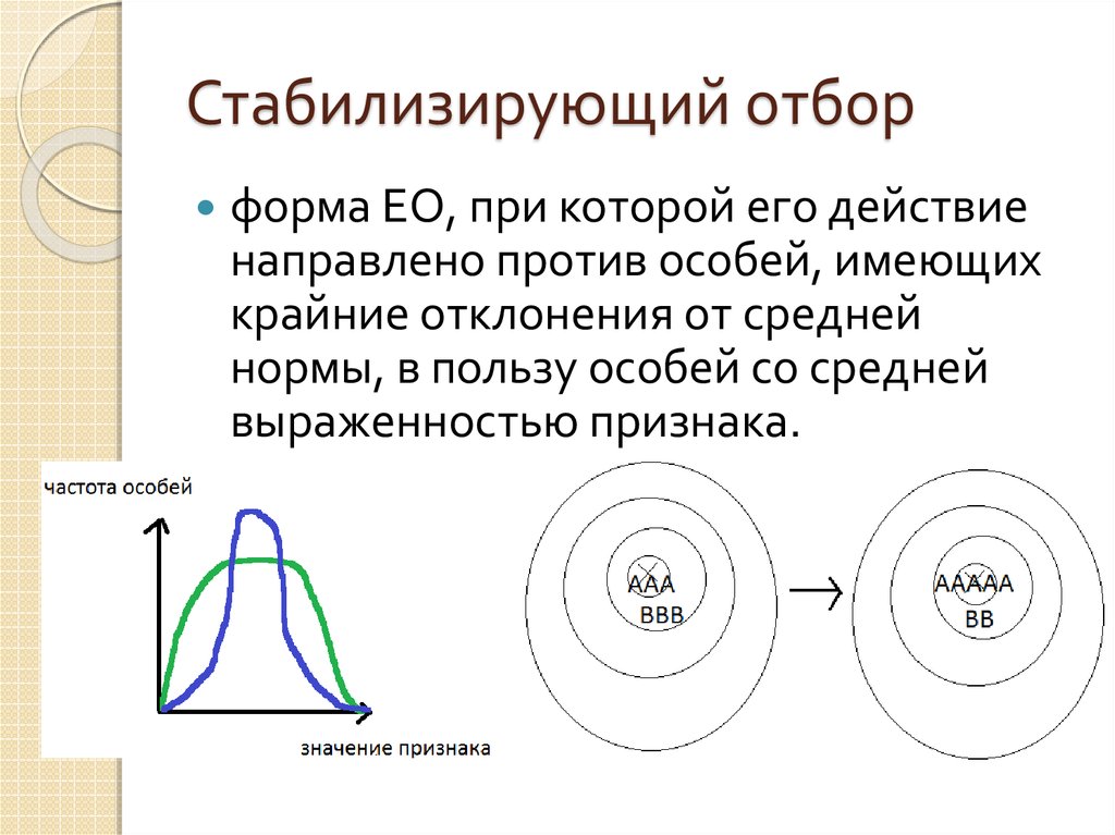 Стабилизирующий отбор схема