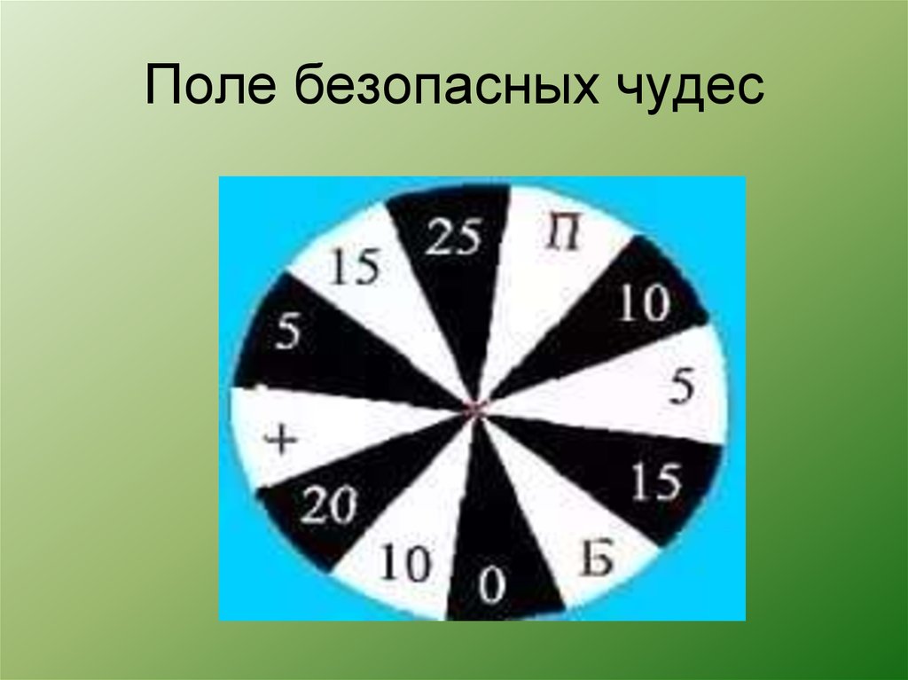 Поле безопасных чудес