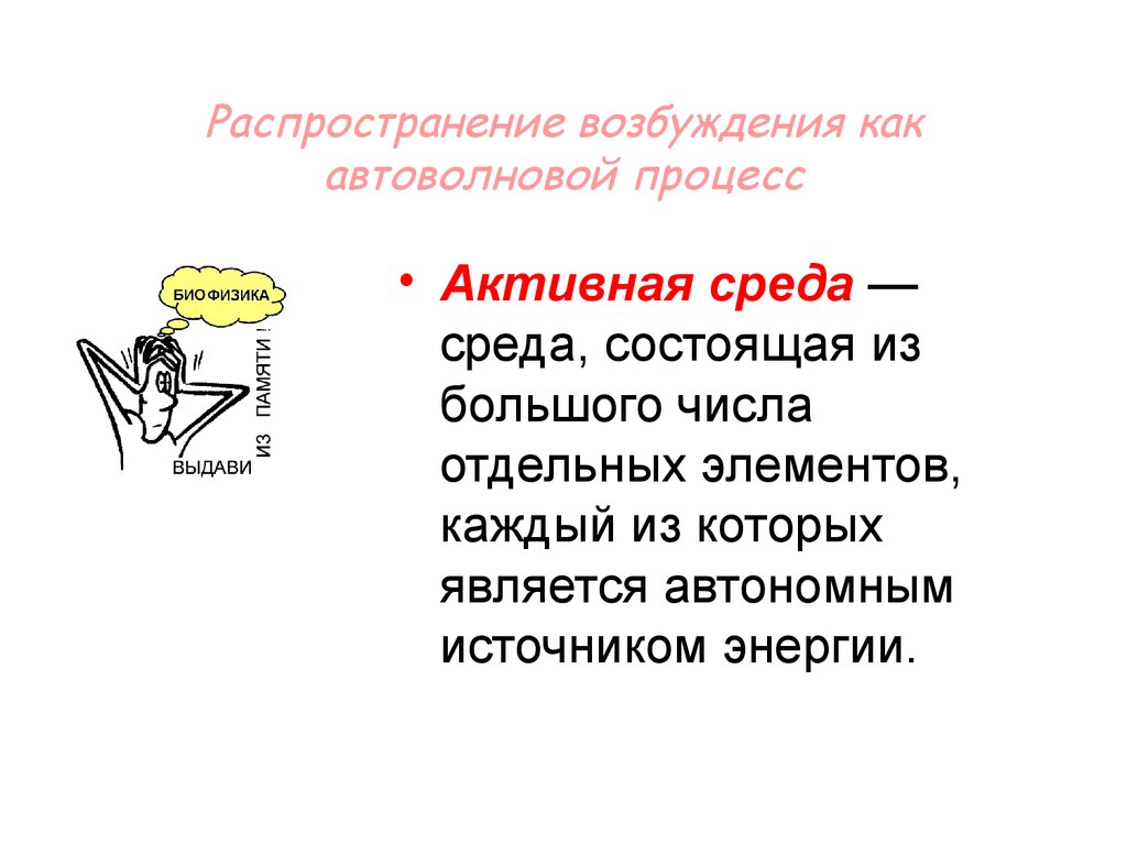 Являться возбуждение. Распространение возбуждения как автоволновой процесс. 1. Распространение возбуждения как автоволновой процесс. Распространение возбуждения как автоволновой процесс физиология. Автоволновые процессы в активных средах.