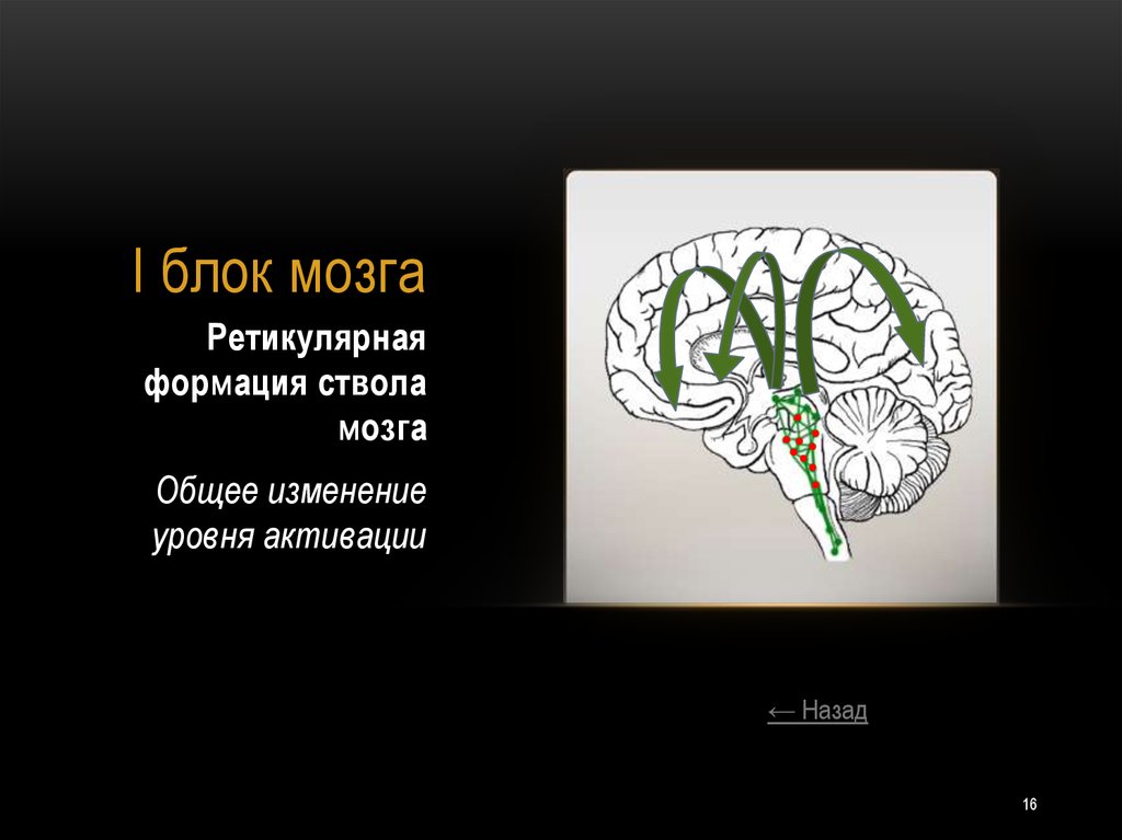 http://hepnar.home.pl/pdf.php?q=book-the-minds-eye/