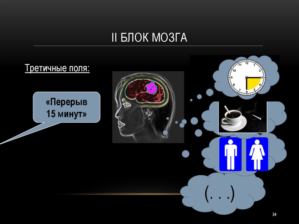 Блок мозгов. 2 Блок мозга. Анализ и Синтез 3 блок мозга. Проблемы с третьим блоком мозга. Учение о трех блоках мозга используя сейчас.