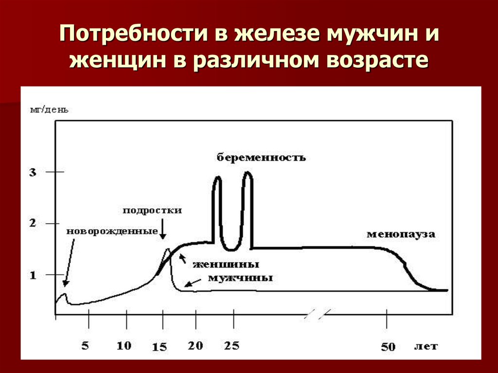 Железа у мужчин. Потребность в железе. Потребность человека в железе. Потребность в железе у женщин. Потребность в железе у детей.