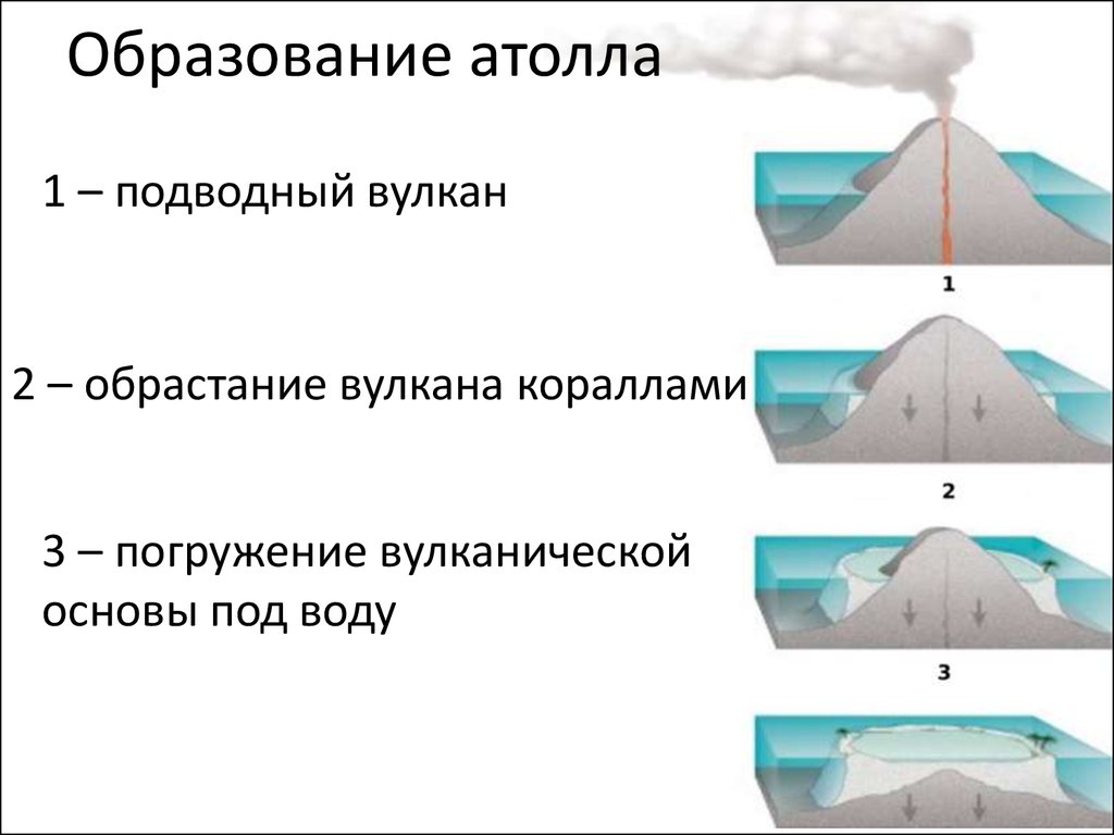 Образование атолла схема