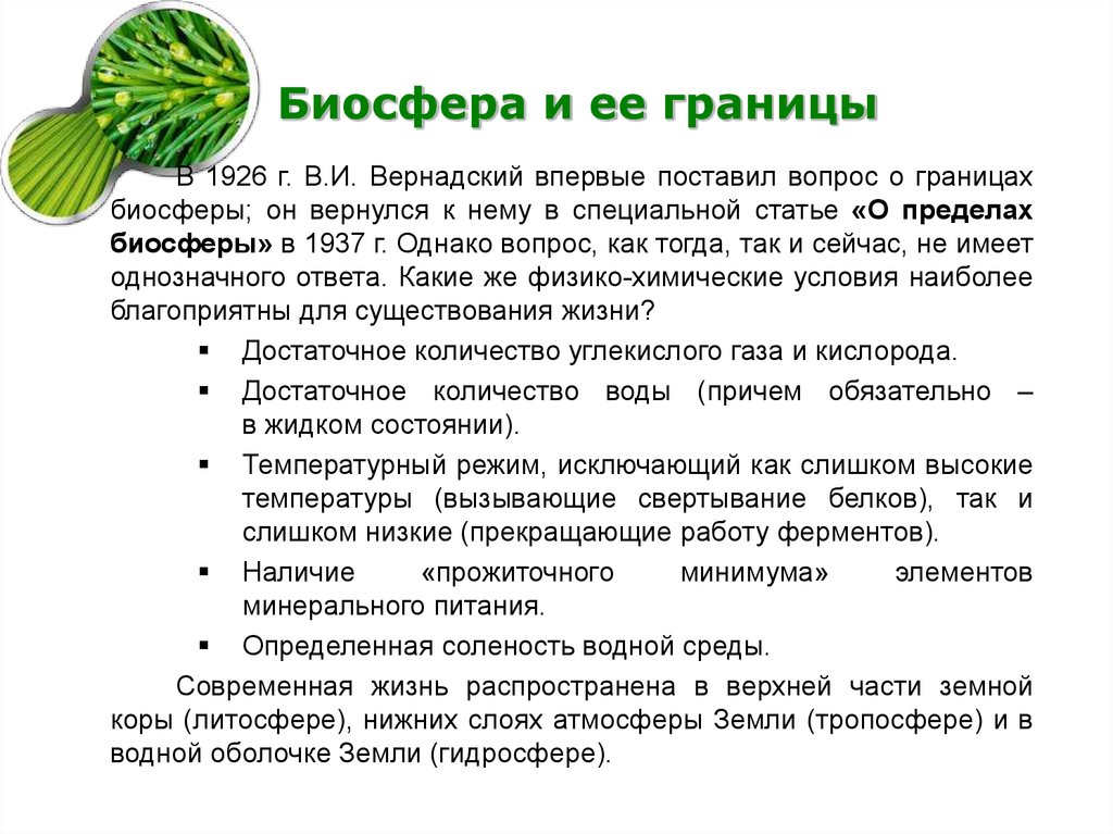 Значение биосферы для человека 6 класс география презентация