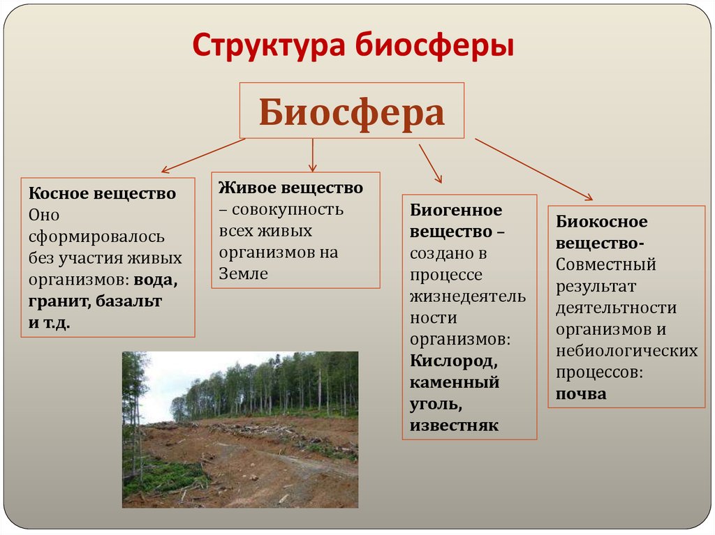 Состав биосферы презентация