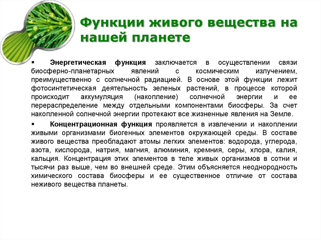 Функции живого. Функции живых организмов в биосфере. Функции живого вещества. Характеристика живого вещества. Энергетическая функция живого вещества примеры.