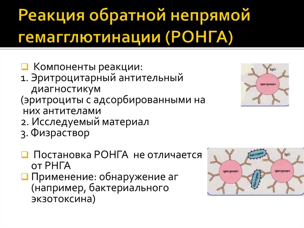 Реакция гемагглютинации презентация