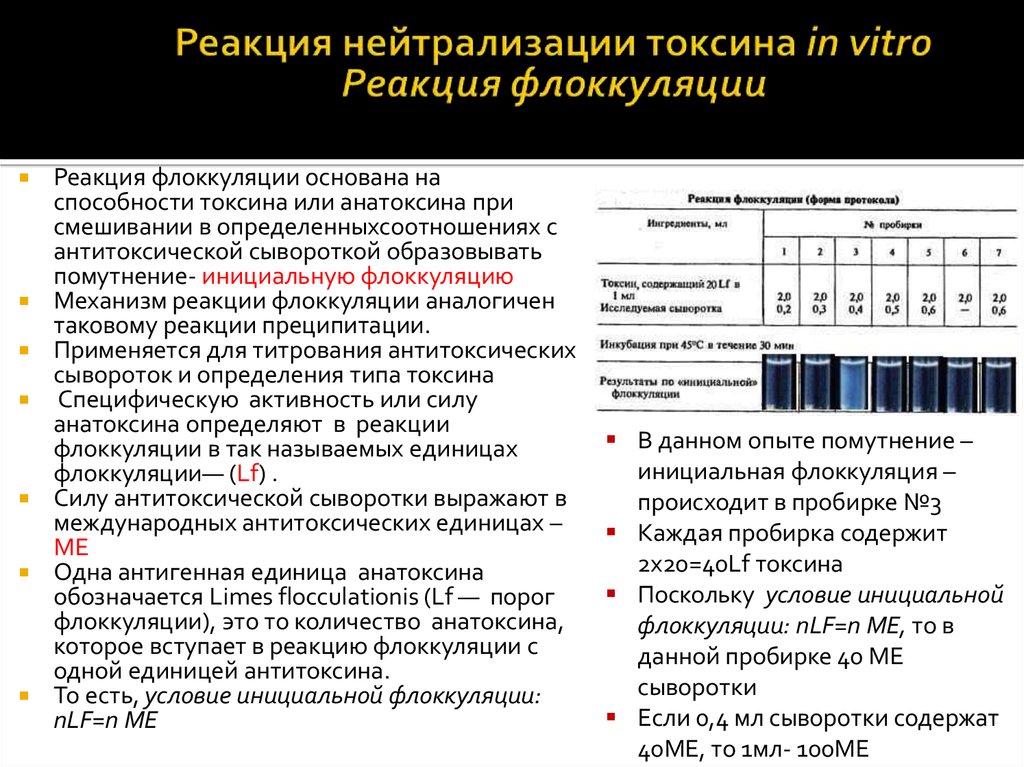 Реакция нейтрализации иммунология схема