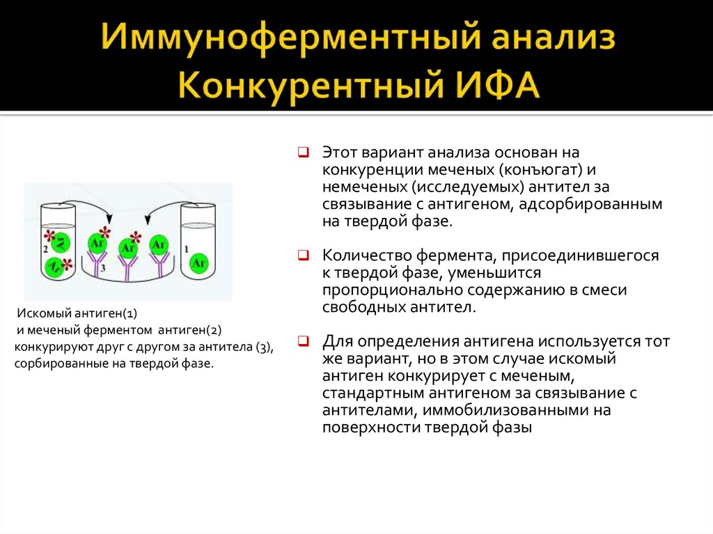 Схема постановки реакции ифа